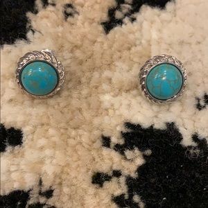 Cute Turquoise Studs